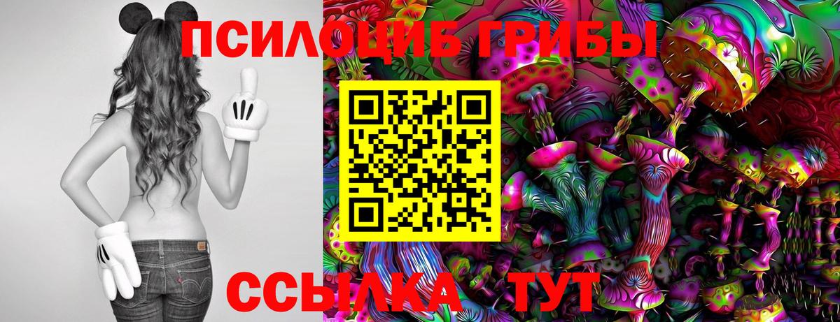 Вышний Волочёк  Псилоцибиновые грибы прущие грибы  Вход с VPN 